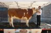 st amans 2011 corine